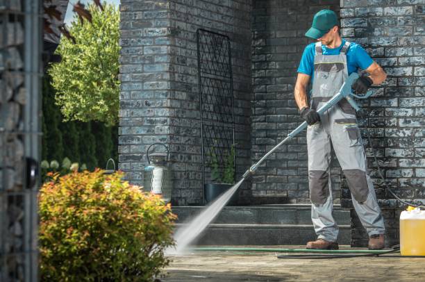 Best Gutter Cleaning  in New Brockton, AL